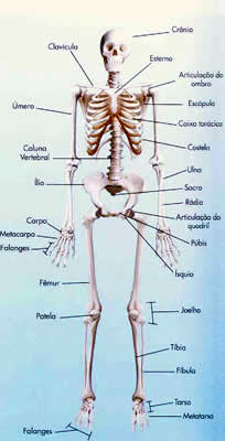 Infiltratii intraarticulare | Proceduri medicale